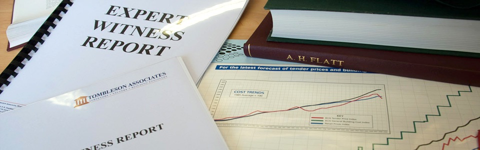 Expert Witness Hampshire